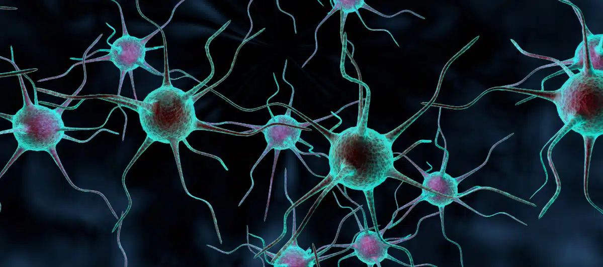 Hormone Therapy